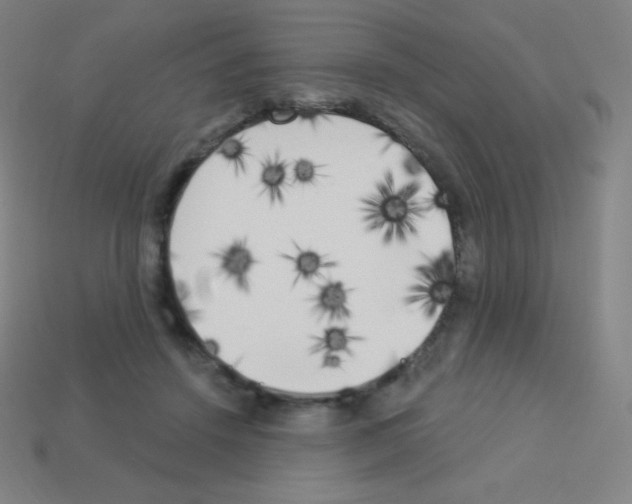 X0000113100456200910091143