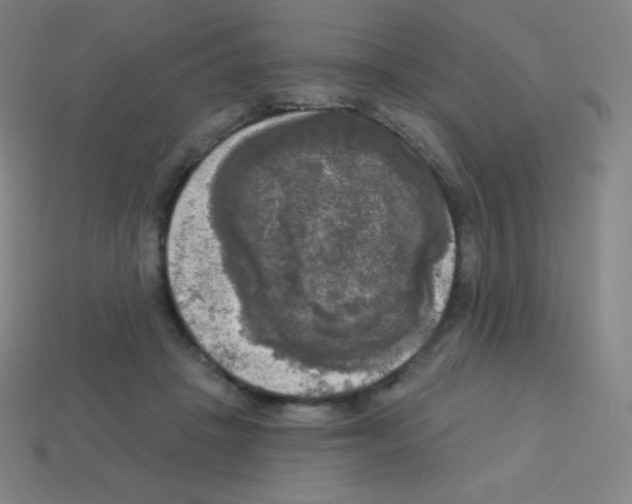 X0000113100457200910091143
