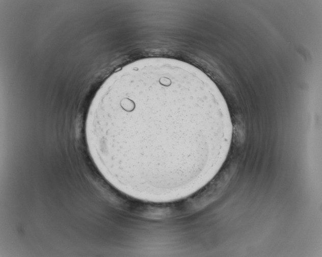 X0000113100458200910091143