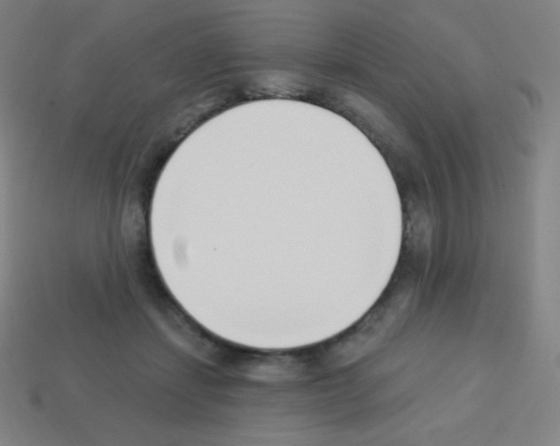 X0000113100459200910091143