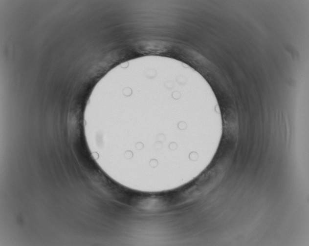 X0000113100460200910091143