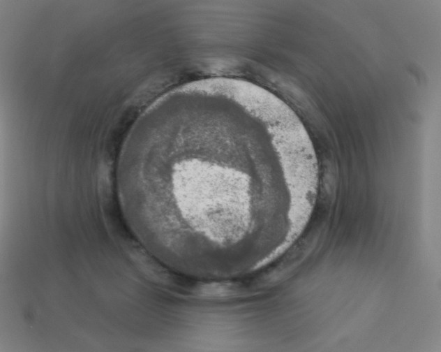 X0000113100461200910091143
