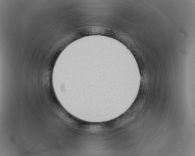 X0000113100462200910091143