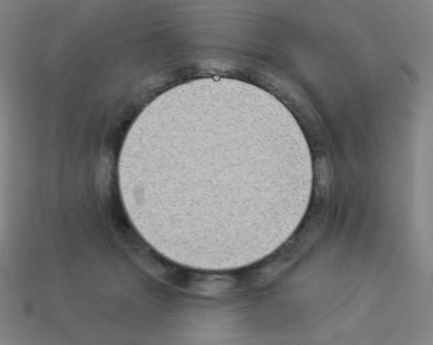 X0000113100463200910091143