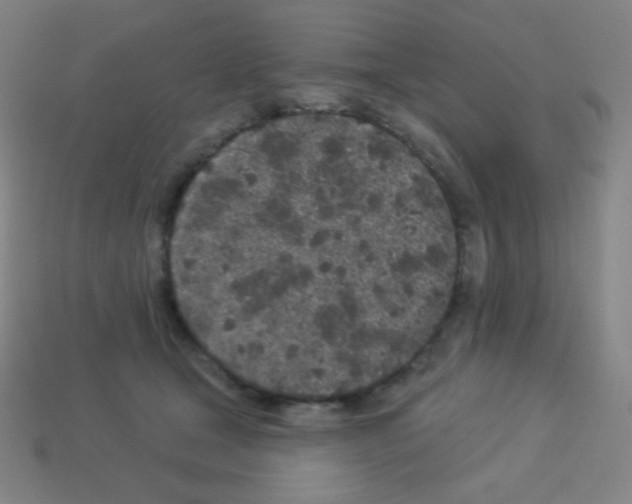 X0000113100465200910091143