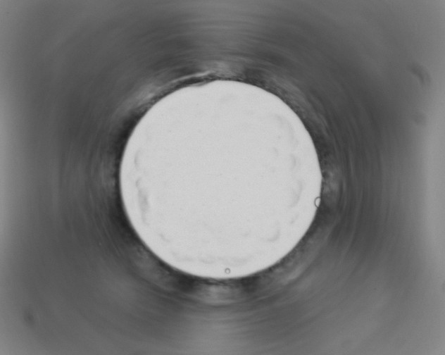 X0000113100466200910091143