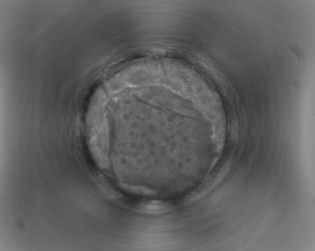 X0000113100467200910091143