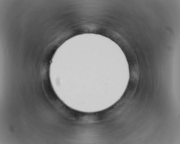 X0000113100468200910091143