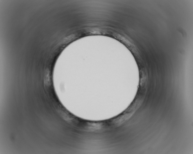 X0000113100469200910091143