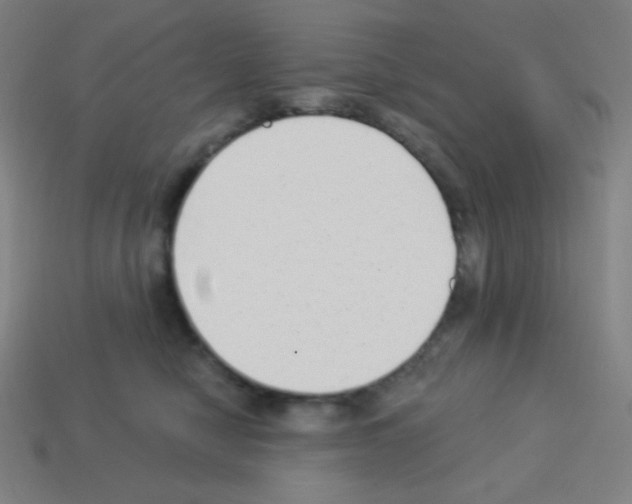X0000113100470200910091143