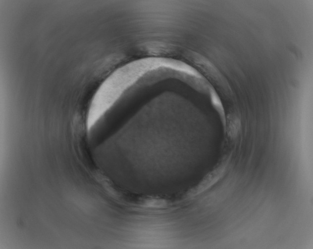 X0000113100471200910091143