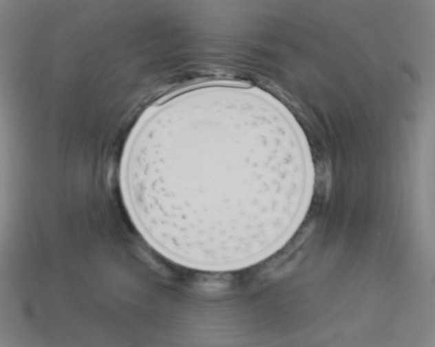 X0000113100474200910091143