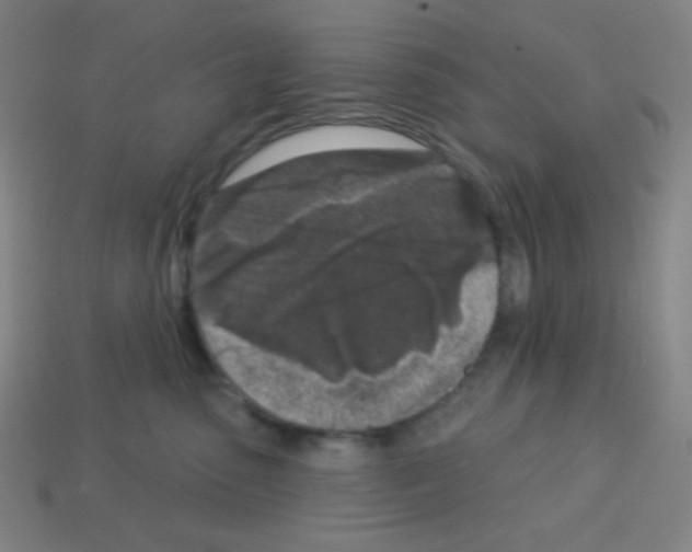 X0000113100475200910091143