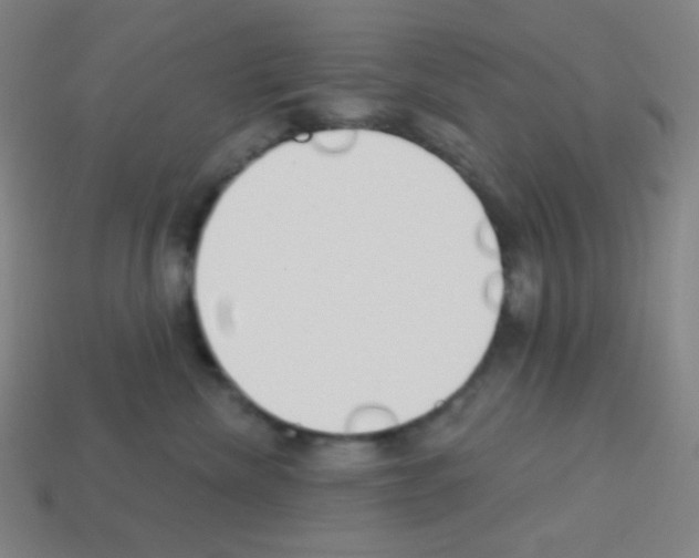 X0000113100476200910091143