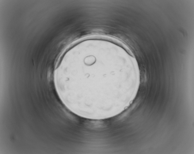 X0000113100478200910091143