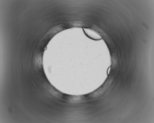 X0000113100479200910091143
