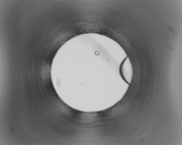 X0000113100480200910091143