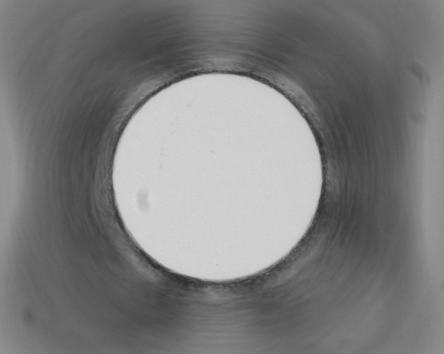 X0000113100481200910091142