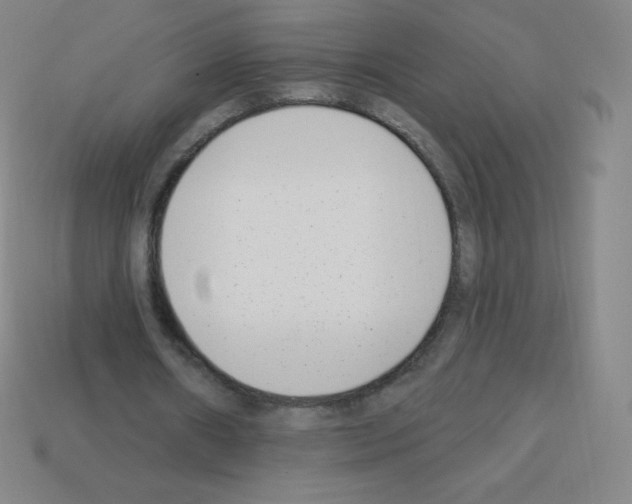 X0000113100482200910091142