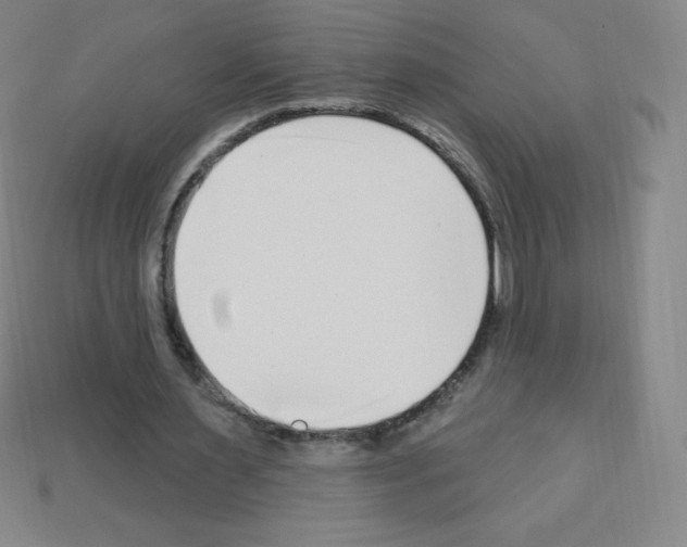 X0000113100483200910091142