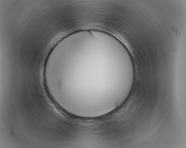 X0000113100485200910091142