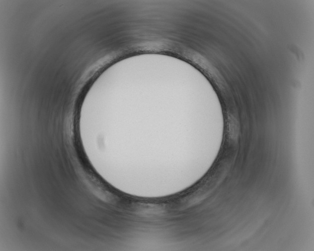X0000113100486200910091142