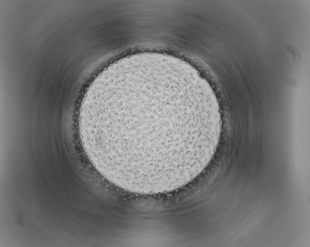 X0000113100487200910091142