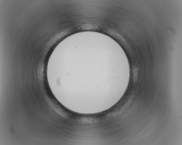 X0000113100490200910091142