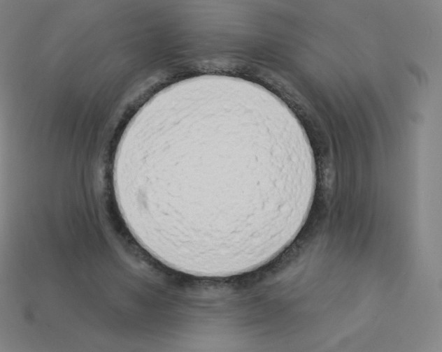X0000113100491200910091142