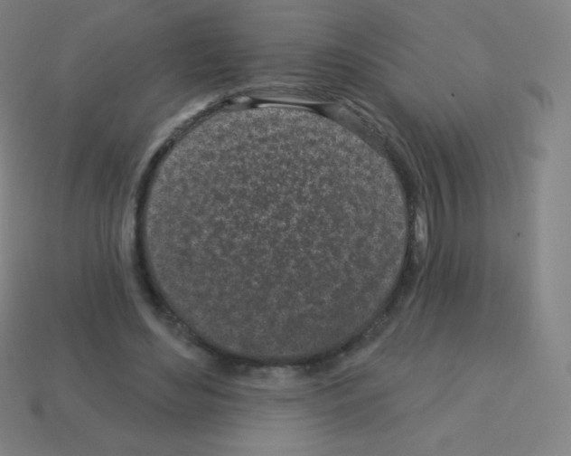 X0000113100492200910091142
