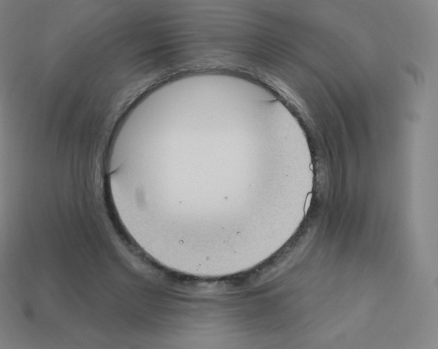 X0000113100493200910091142