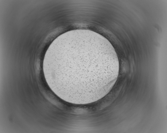 X0000113100494200910091142