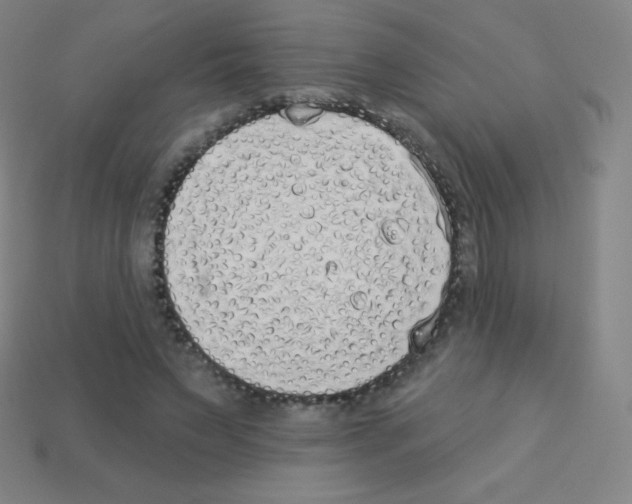 X0000113100495200910091142