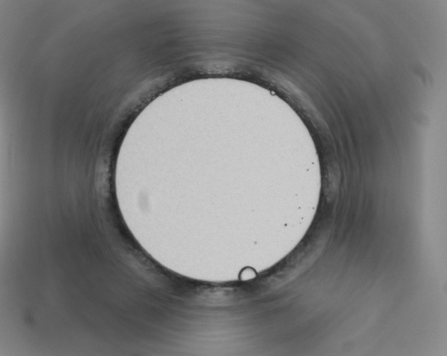 X0000113100497200910091142