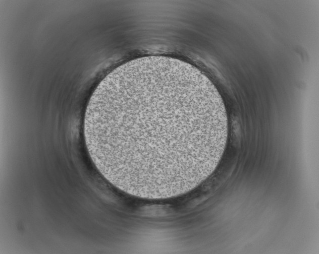 X0000113100499200910091142