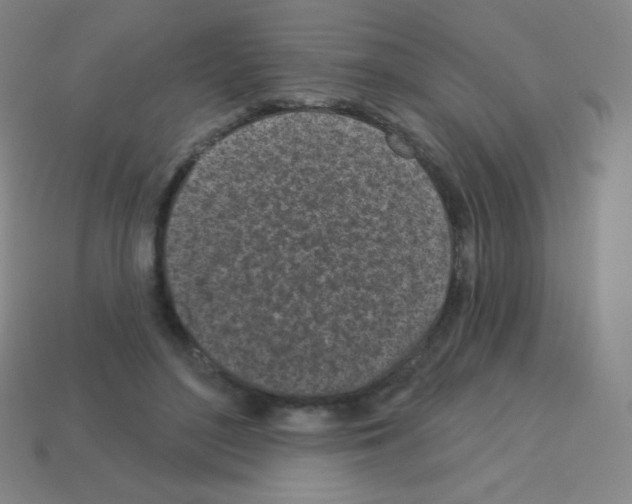 X0000113100500200910091142