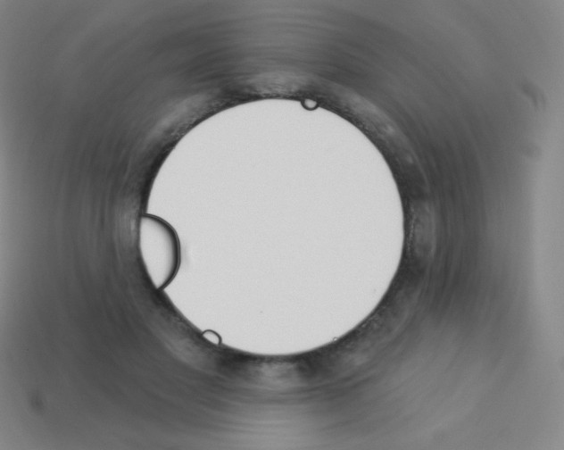 X0000113100501200910091142