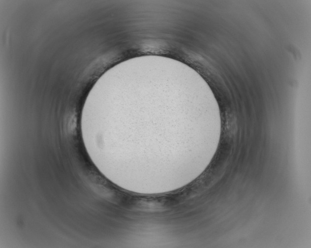 X0000113100502200910091142