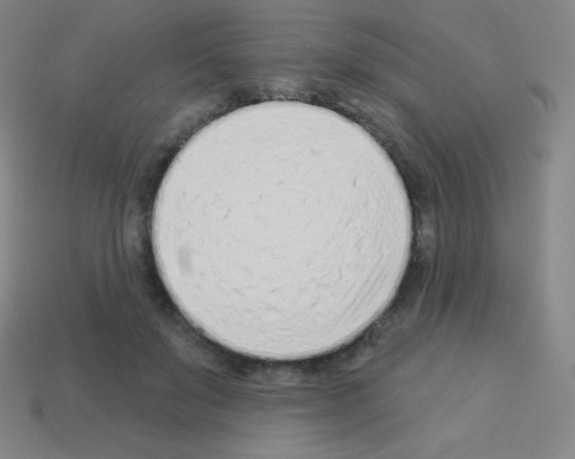X0000113100503200910091142
