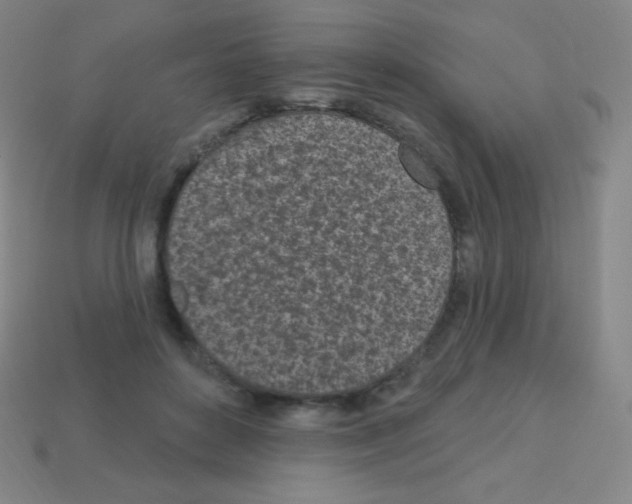 X0000113100504200910091142