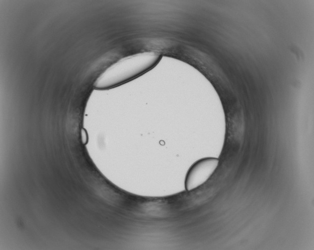 X0000113100505200910091142