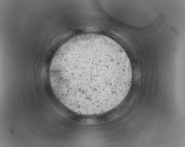 X0000113100506200910091142