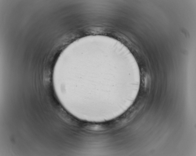 X0000113100507200910091142