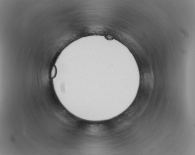 X0000113100508200910091142