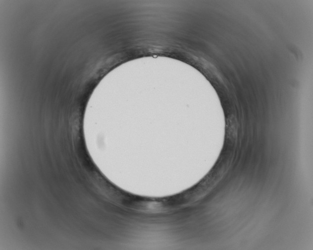 X0000113100509200910091142