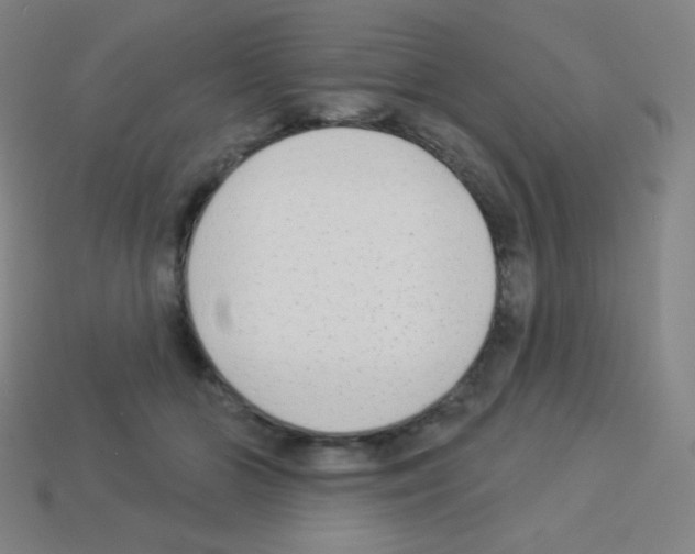 X0000113100510200910091142