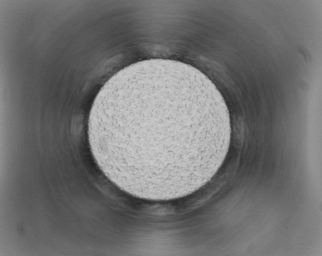 X0000113100511200910091142