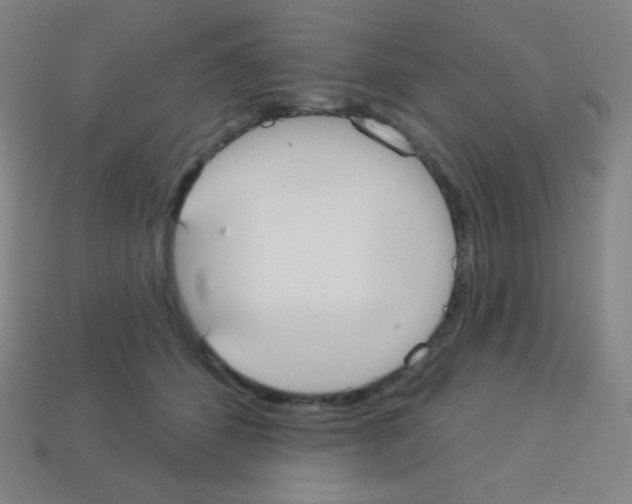 X0000113100512200910091142