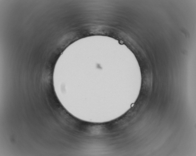 X0000113100513200910091142