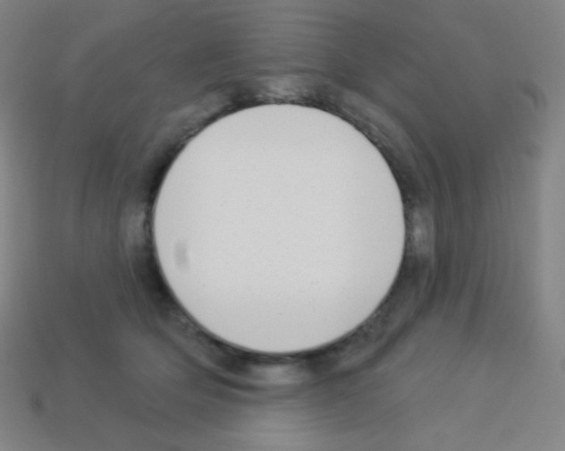 X0000113100514200910091142